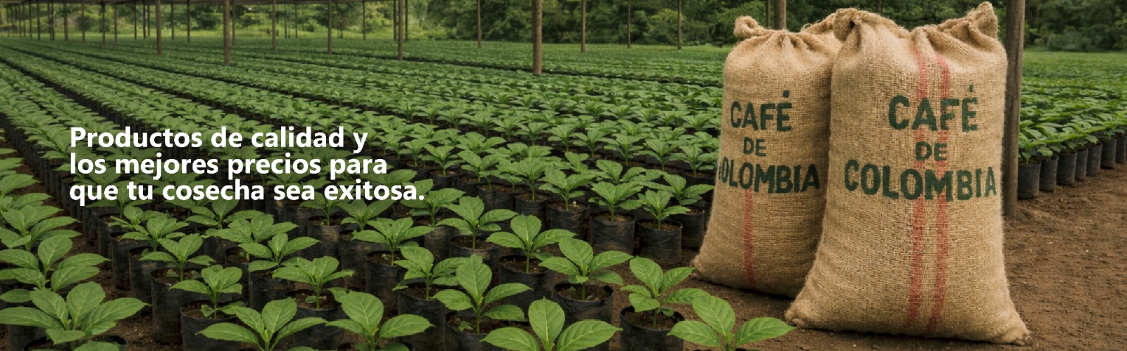 Cultivo agroindustrial