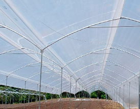 Tela Transparente Secaderos